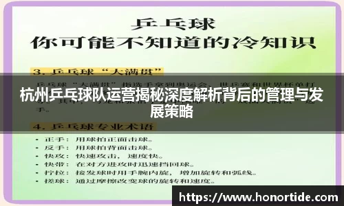 杭州乒乓球队运营揭秘深度解析背后的管理与发展策略